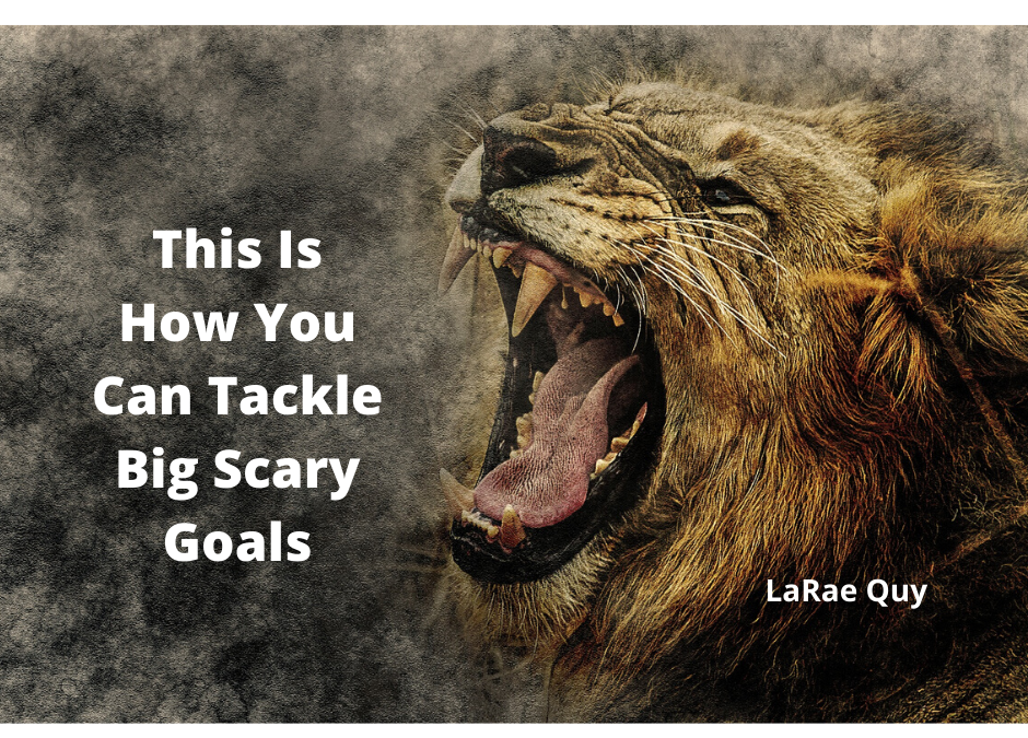 This Is How You Can Tackle Big Scary Goals | LaRae Quy