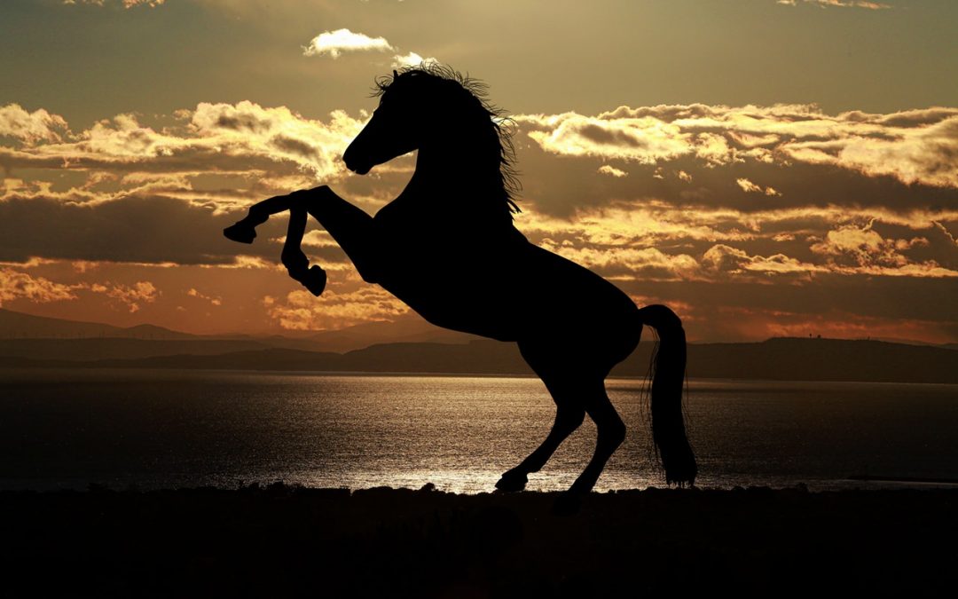 3 Smart Ways You Can Gain Confidence In Yourself