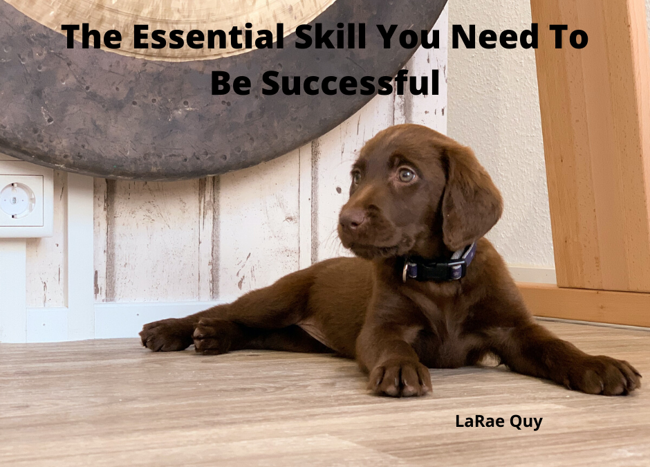 The Essential Skill You Need To Be Successful