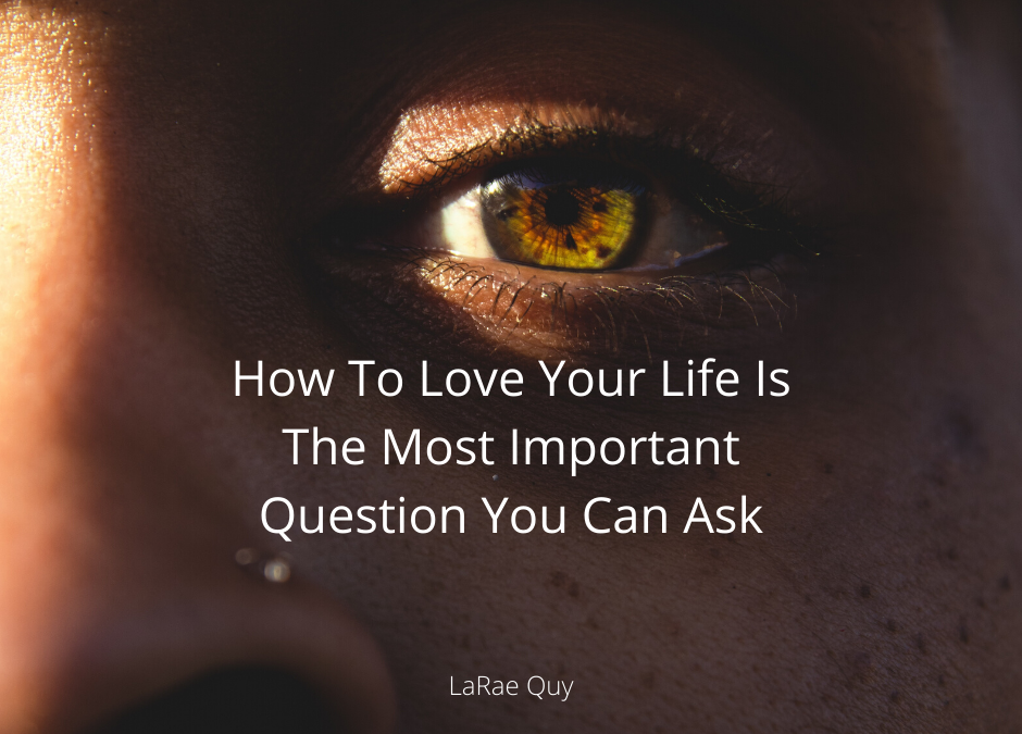 How To Love Your Life Is The Most Important Question You Can Ask
